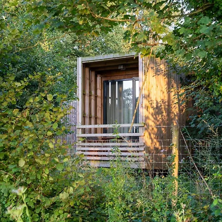 Forest Escape For Four Antoing
